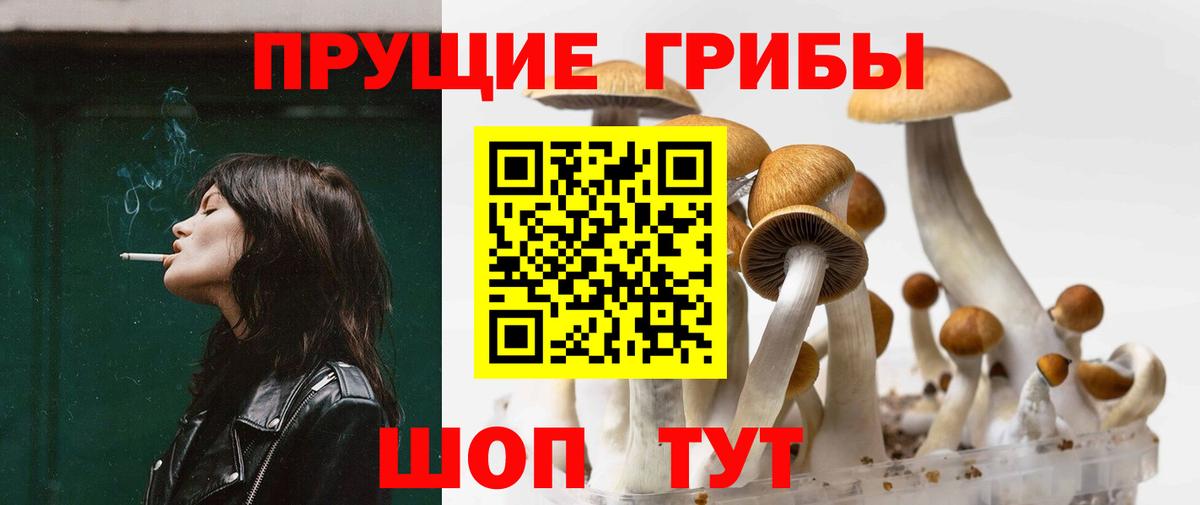 Галлюциногенные грибы Cubensis  Вход с VPN  купить закладку  Ставрополь 